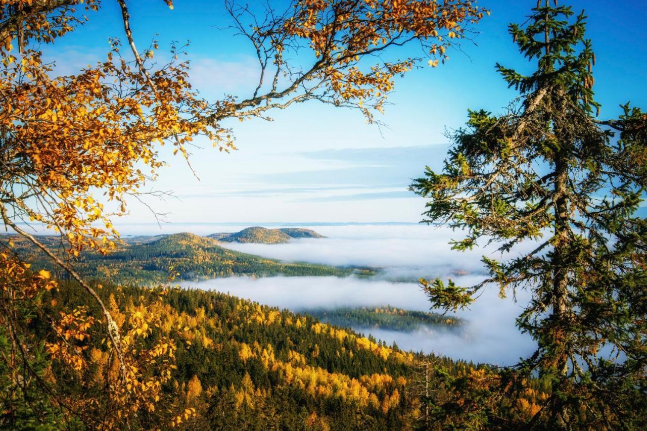 Break Sokos Hotel Koli Kolinkylä Екстериор снимка