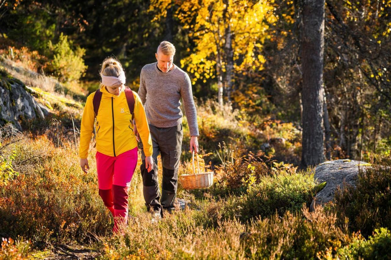 Break Sokos Hotel Koli Kolinkylä Екстериор снимка